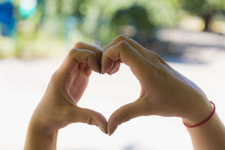 Hands of a young pregnant woman in the shape of a heart on a blurred nature background of a sunny...