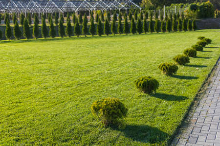 Abstract background with beautifully arranged public space. City park with excellent landscaping. Good eco-friendly urban environment. Selective focusの写真素材