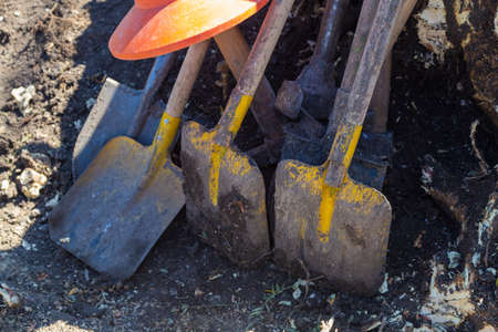Background with shovels and tree stump. Manual uprooting of a tree.