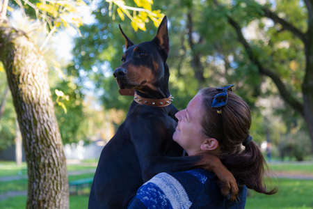 A young woman on a walk with a Doberman is enjoying talking with a pet. Selective focus with blurred background. Shallow depth of field.の写真素材