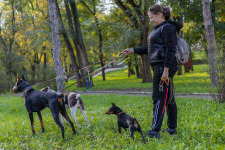 Young woman with dogs on a walk outdoors. Selective focus with blurred background. Shallow depth of...