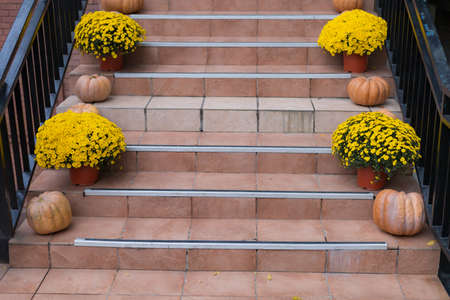 Vegetables in the autumn period symbolically decorate the entrance to the catering establishment. Backgroundの写真素材