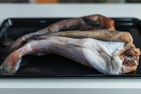 Raw fish hake. Abstract culinary background. Cooking healthy diet food. Selective focus.の写真素材