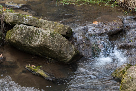 Mountain spring or stream in the wild. Selective focus with blurred background.