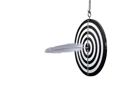 A goose feather stuck into a dart board. Text writing symbol. The concept of success and goal achievement. The metaphor of hitting a word in the top ten. Allegory of targeting and CMM. Poetry signの写真素材