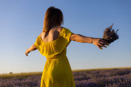 Beautiful and pretty young woman in a yellow dress relaxes and enjoys a walk in the lavender field at sunset, toned. Back viewの写真素材