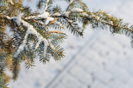 Abstract symbolic winter background with snow with copy space for text or lettering, selective focusの写真素材