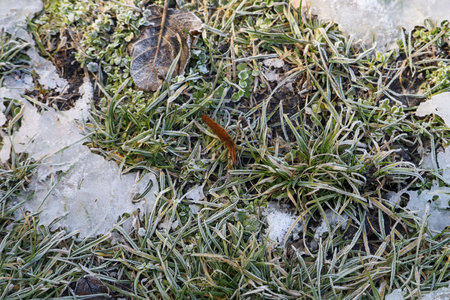 Abstract symbolic background of winter nature outside the city with copy space for text or...