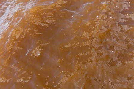 Muddy African river. Dirty body of water or lake. Frightening suspense. Backgroundの写真素材