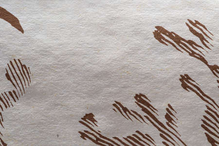 Old abstract textured paper background. Preparation for a design or a substrate for the text.の写真素材