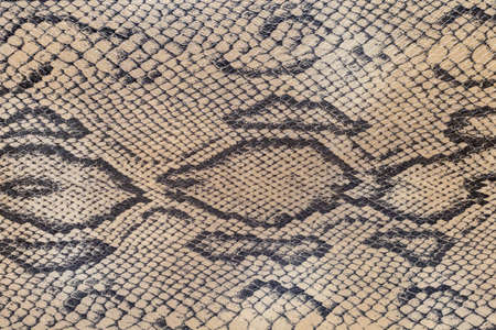 Abstract background or texture with pattern. Blank or substrate for design
