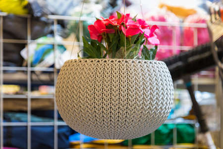 April 12, 2021 Beltsy, Moldova goods on the market shelf. Supermarket showcase. Illustrative editorial. Wicker pots for flowers on the outdoor terraceのeditorial素材
