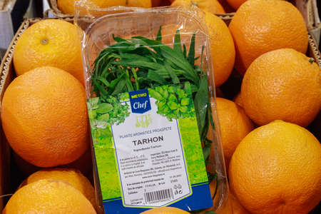 Green tarragon on a background of oranges. Ingredients for refreshing cocktails. May 26, 2021 Beltsy...