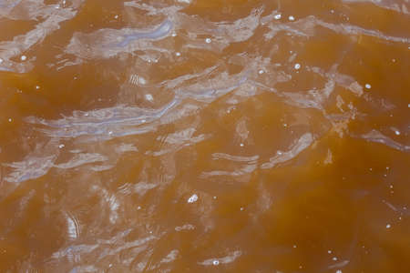 Muddy African river. Dirty body of water or lake. Frightening suspense. Background