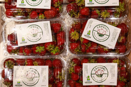 Transparent plastic containers with strawberries. Illustrative editorial Goods on a supermarket showcase. Balti, Moldova June 16, 2021.のeditorial素材