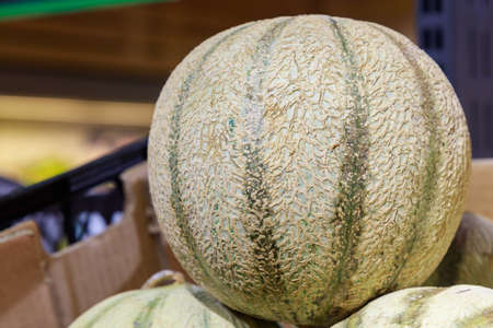 Melon close-up. Goods on a supermarket showcase.の写真素材