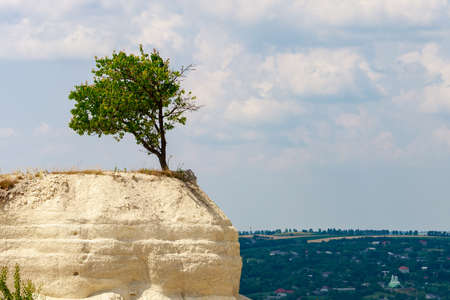 Limestone mountain in the wild. Beautiful landscape background with natural stone. The bottom of the ancient Sarmatian sea.の写真素材