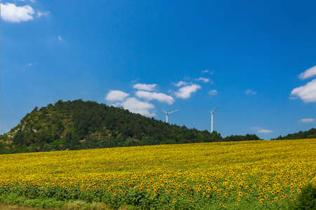 Windmills for electricity generation. Green energy concept. Background with copy space for text. Modern farm outside the city.の写真素材