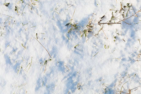 Snow textured surface in winter. Background or graphic resource for design. Blankの写真素材