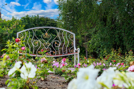 A very beautiful bench for lovers in a city park with flower beds and flowers. Heart as a symbol of love. Selective focus background, copy space for text or letteringの写真素材