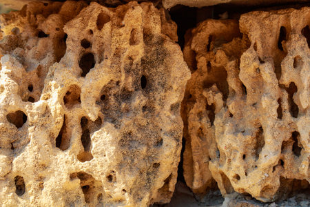 Karst limestone rock. Selective focus texture. Background with copy space for text or inscriptions.