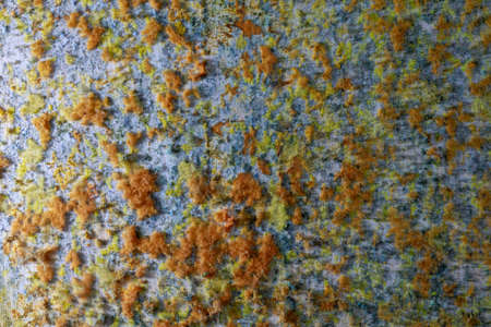 Mold or mildew growing on the surface. Abstract backgroundの写真素材
