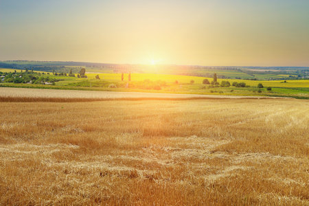 Eastern Europe nature. Endless fields with selective focus. Landscape background with copy space for text or letteringの写真素材