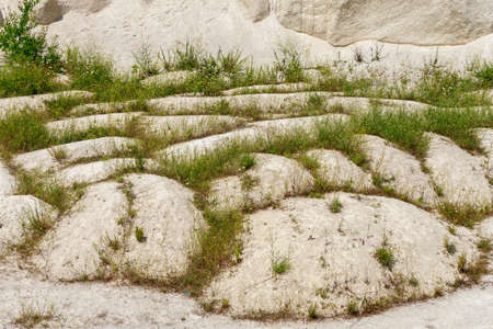 Limestone in the wild. Beautiful landscape background with natural stone. The bottom of the ancient Sarmatian sea.の写真素材
