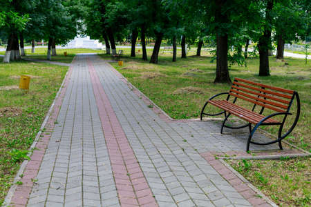Empty bench in a city park. Background with copy space for text or lettering.の写真素材