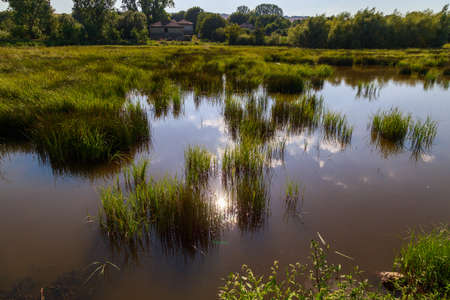 Village boggy river. Drying bodies of water due to climate change. Background with copy space for...