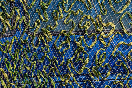 Camouflage military cape for the car. Artificial leaf net to create shade from the sun. Background with copy spaceの写真素材