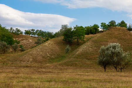European rolling hills with green grass. Background with copy space for text or lettering