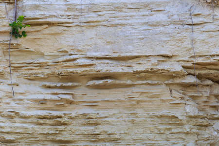 Natural limestone. Background for blank or graphic resource for design. Rough textured surface.