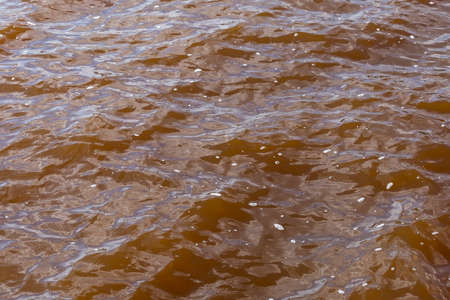 Muddy African river. Dirty body of water or lake. Frightening suspense. Background