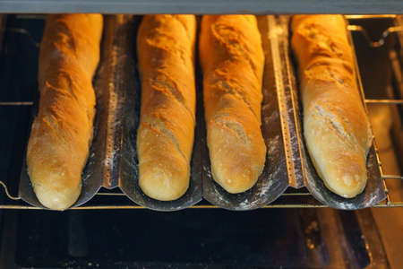 The dough is in the oven. French baguettes on a baking sheet. Home baked bread. Background with...