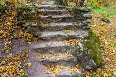 Steps made of natural stone outdoors in the autumn forest. Background with copy space for text or inscriptions. Travel symbolの写真素材