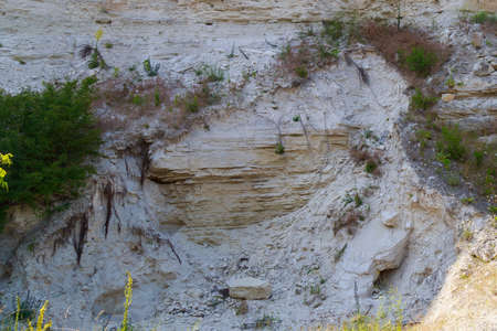 Limestone in the wild. Beautiful landscape background with natural stone. The bottom of the ancient...