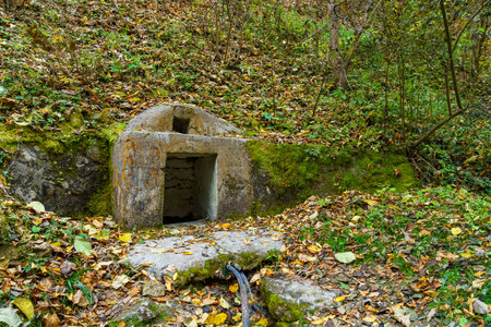 Mountain spring in the autumn forest. Background with copy space for text or inscriptions.の写真素材