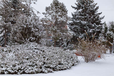 February 1, 2021, Balti or Beltsy Moldova. Winter city park. Illustrative editorialのeditorial素材