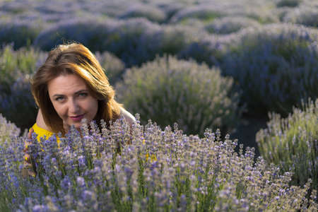 Woman portrait in lavender field. Selective focus, blurred background, toned