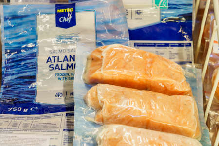 Salmon fillet. Background with copy space for text. Illustrative editorial. December 18, 2021 Balti Moldova.のeditorial素材