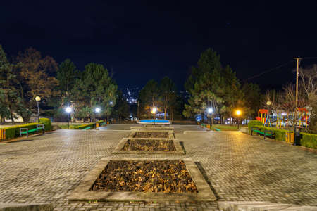 Central alleys of the city park in the dark of the night. Background with copy space for textの写真素材