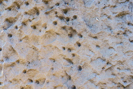 Old antique retro vintage stone wall surface. Backgroundの写真素材