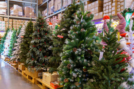 Artificial Christmas trees and symbols of the new year in the store. Background with copy space for text. Illustrative editorial. December 18, 2021 Balti Moldova.のeditorial素材