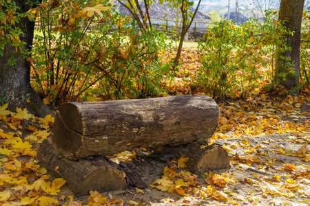 Park bench made of wooden beams. Rest in travel for a tourist. Natural autumn background with copy space for textの写真素材