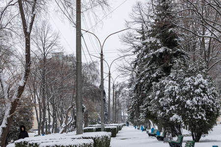 February 1, 2021, Balti or Beltsy Moldova. Winter city park. Illustrative editorialのeditorial素材