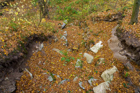 Mountain gorge or canyon in the autumn forest covered with fallen leaves. Natural background with...