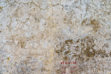 Rough surface of an old destroyed grunge wall. Textured background. Blank for design. Underlay or undercoat. Copy space for textの写真素材
