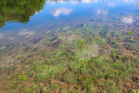 Water on the river bank. Background with copy space or backdrop for text