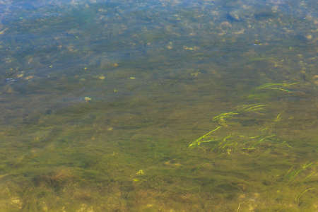 Water on the river bank. Background with copy space or backdrop for text